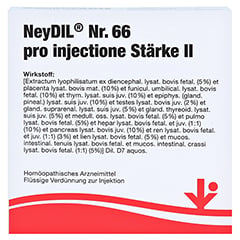 NEYDIL Nr.66 pro injectione St.2 Ampullen 5x2 Milliliter N1 - Vorderseite