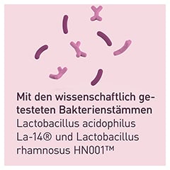 LACTO INTIM oral Probiotikum bei bakt.Vaginose 20 Stck - Info 4