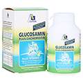 Avitale Glucosamin 750 mg + Chondroitin 100 mg + gratis Teufelskrallen Gel 180 Stck