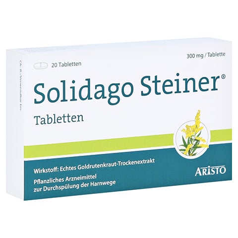 Solidago Steiner 20 Stück