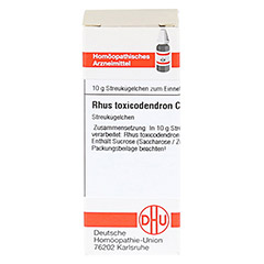 RHUS TOXICODENDRON C 4 Globuli 10 Gramm N1 - Vorderseite