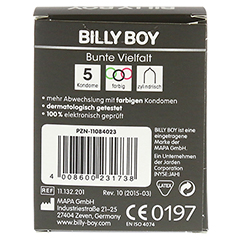 BILLY BOY bunte Vielfalt 5 Stck - Rckseite