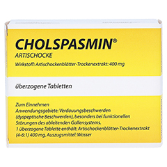 Cholspasmin Artischocke 100 Stück - Vorderseite