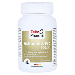 ASTRAGALUS PRO 500/50 50 mg Astragaloside IV Kaps.