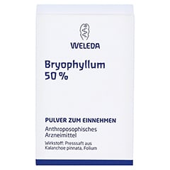 BRYOPHYLLUM 50% Pulver zum Einnehmen 50 Gramm N2 - Vorderseite