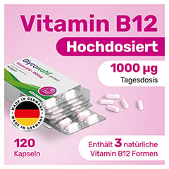 GLYCOWOHL Vitamin B12 1000 g hochdos.vegan Kaps. 120 Stck - Info 1