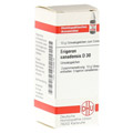 ERIGERON CANADENSIS D 30 Globuli 10 Gramm N1