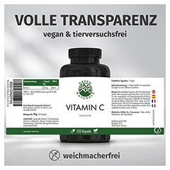 GREEN NATURALS liposomales Vitamin C 325 mg Kaps. 120 Stck - Info 4