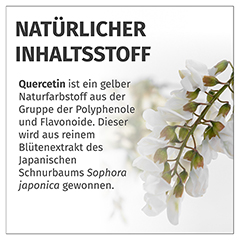 GREEN NATURALS Quercetin 500 mg hochdosiert Kaps. 180 Stck - Info 5