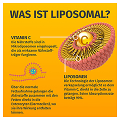 GREEN NATURALS liposomales Vitamin C 325 mg Kaps. 120 Stck - Info 5