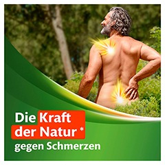 Kytta-Schmerzsalbe + gratis Kytta Fitnessband 150 Gramm N3 - Info 1