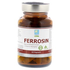 FERROSIN Eisen 14 mg Kapseln