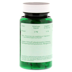 MANGAN 5 mg Citrat Kapseln 120 Stck - Rckseite
