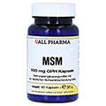 MSM 500 mg GPH Kapseln 60 Stck