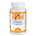Dr. Jacob's Curcumin-Phospholipid aus Kurkuma-Extrakt 60 Stck
