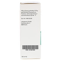 Echinacea-ratiopharm Liquid alkoholfrei 100 Milliliter N3 - Rechte Seite