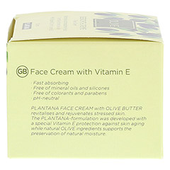 PLANTANA Olive Butter Gesichts Creme 50 Milliliter - Rechte Seite