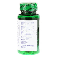 GINKGO BILOBA 120 mg Kapseln 60 Stück - Rückseite
