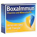 BOXAIMMUN Vitamine und Mineralstoffe Sachets 12x6 Gramm