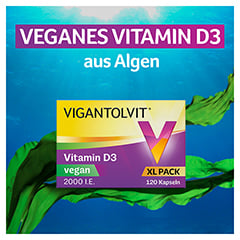 VIGANTOLVIT 2000 I.E. Vitamin D3 vegan Weichkapseln 120 Stck - Info 1