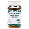 YAMSWURZEL WILD Yam 250 mg Kapseln 120 Stck