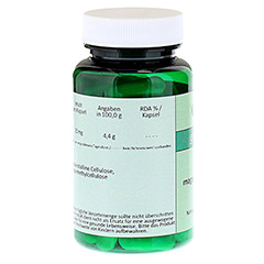 NADH 20 mg magensaftresistente Kapseln 60 Stck - Linke Seite