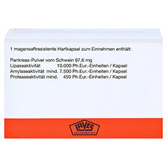 Pankreatin Laves 10000 Ph.Eur.-Einheiten 50 Stck N1 - Unterseite