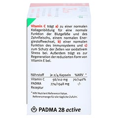 PADMA 28 active Kapseln 100 Stck - Rechte Seite