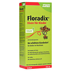 Floradix Eisen für Kinder Tonikum 250 Milliliter