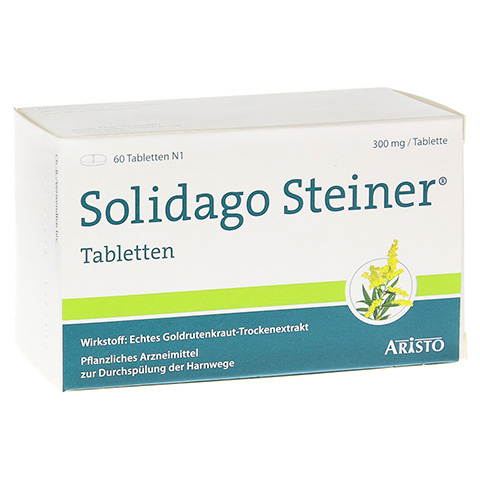 Solidago Steiner 60 Stück N1