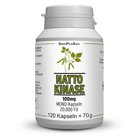 Nattokinase 100 mg Mono 20.000 FU Kapsel 120 Stck