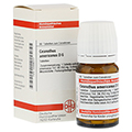 CEANOTHUS AMERICANUS D 6 Tabletten 80 Stck N1