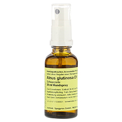 GEMMO Alnus glutinosa D 1 Mundspray 30 Milliliter N1