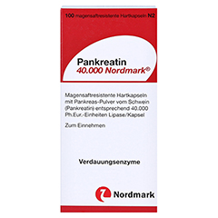 Pankreatin 40000 Nordmark 100 Stck N2 - Rckseite