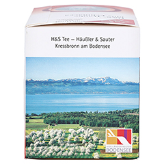 H&S Traube plus Echinacea Filterbeutel 20x2.5 Gramm - Rechte Seite