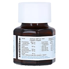 NATURAFIT Stoffwechsel Bitterstoffe+Cholin Kapseln 30 Stck - Rckseite