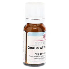 CITRULLUS colocynthis D 12 Globuli 10 Gramm N1 - Rechte Seite