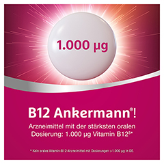 B12 Ankermann 100 Stück N3 - Info 1