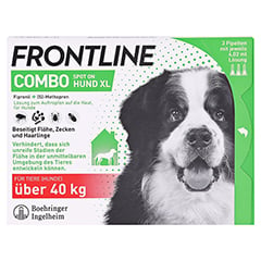 FRONTLINE Combo Spot on Hund XL Lsg.z.Auft.a.Haut 3 Stck - Vorderseite