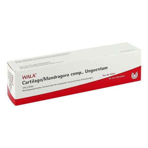 CARTILAGO/Mandragora comp Unguentum 100 Gramm N2
