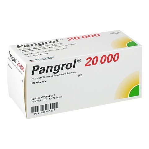 Pangrol 20000 100 Stück N2