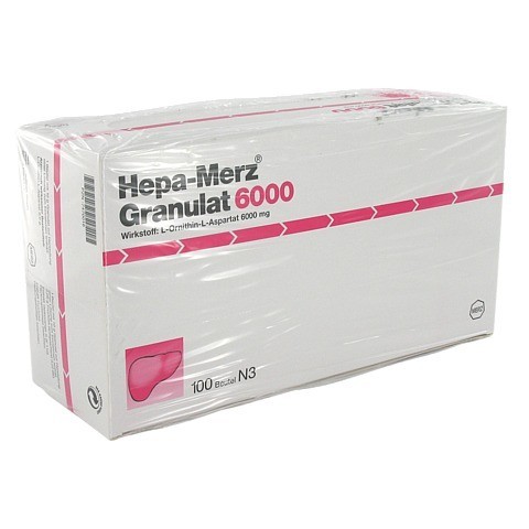 Hepa-Merz 6000 100 Stück N3