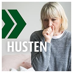 Prospan Husten-Brausetabletten 20 Stck N1 - Info 1