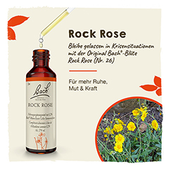 Bachblüten Rock Rose Tropfen 20 Milliliter - Info 1