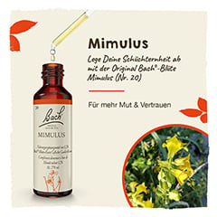 Bachblten Mimulus Tropfen 20 Milliliter - Info 1