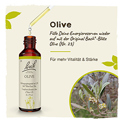 Bachblüten Olive Tropfen 20 Milliliter - Info 1