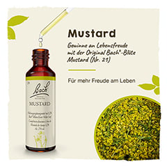 Bachblüten Mustard Tropfen 20 Milliliter - Info 1