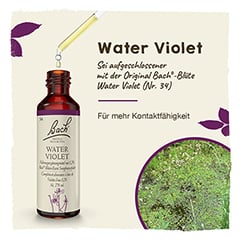 BACHBLTEN Water Violet Tropfen 20 Milliliter - Info 1