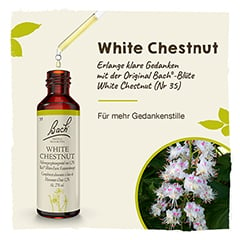 Bachblüten White Chestnut Tropfen 20 Milliliter - Info 1