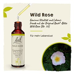 Bachblten Wild Rose Tropfen 20 Milliliter - Info 1